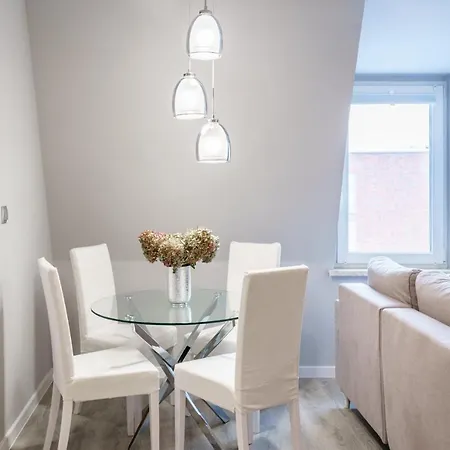 Nowoczesny - 200 Metrow Od Rynku * Gliwice