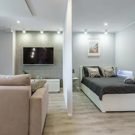 Nowoczesny - 200 Metrów Od Rynku Apartament Gliwice